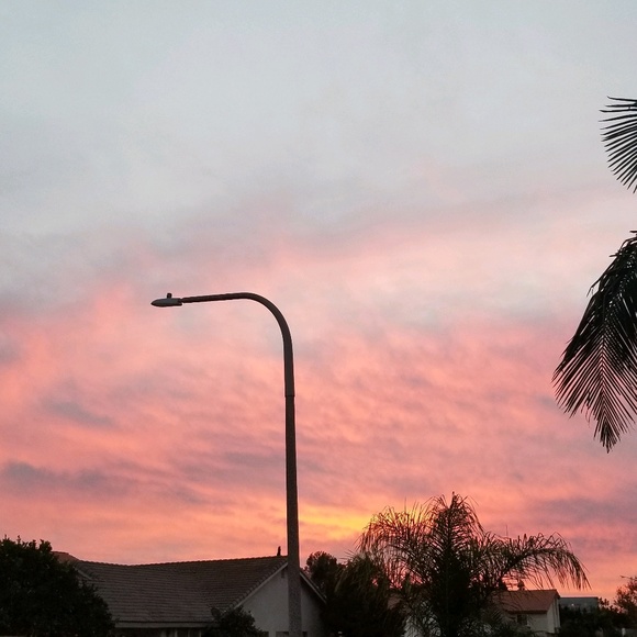 Meet your Posher, Nikkie - Picture 1 of 1